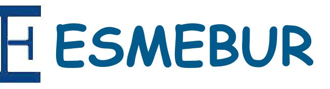 Logo Esmebur